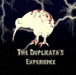 The Duplicata's Experience : The Duplicata's Experience